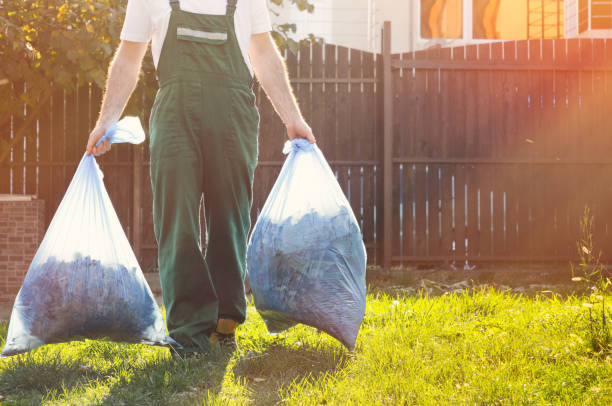 Best Furniture Removal  in Cedar Springs, MI