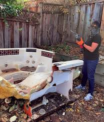 Best Dumpster Rental Services  in Cedar Springs, MI